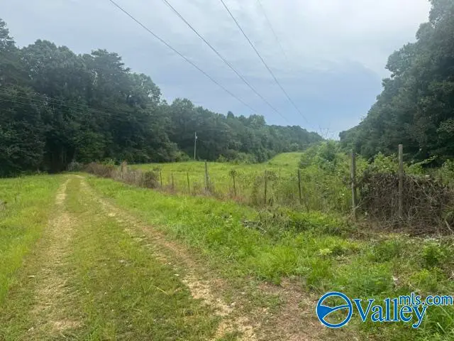 196 County Road 230, Hollywood, AL 35752 - #2