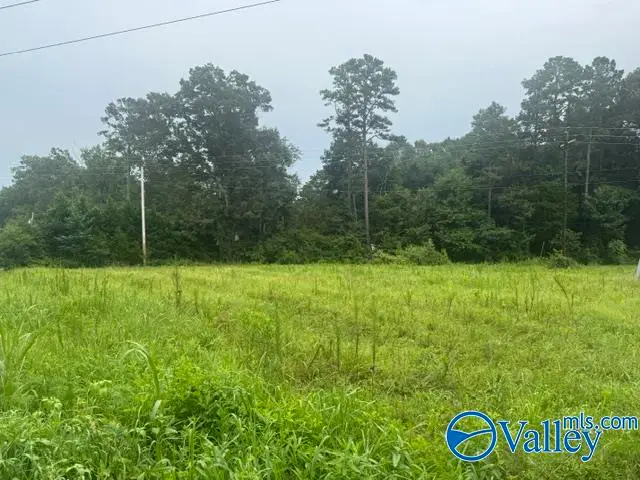 196 County Road 230, Hollywood, AL 35752 - #3