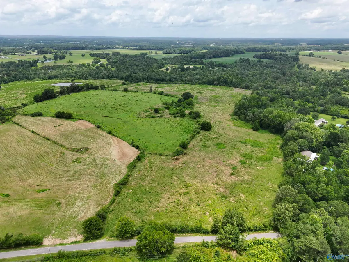 17.63 AC Brown Road, Boaz, AL 35957 - #1