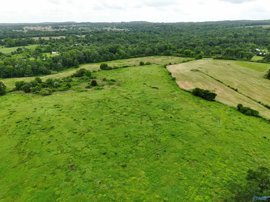17.63 AC Brown Road, Boaz, AL 35957 - #2