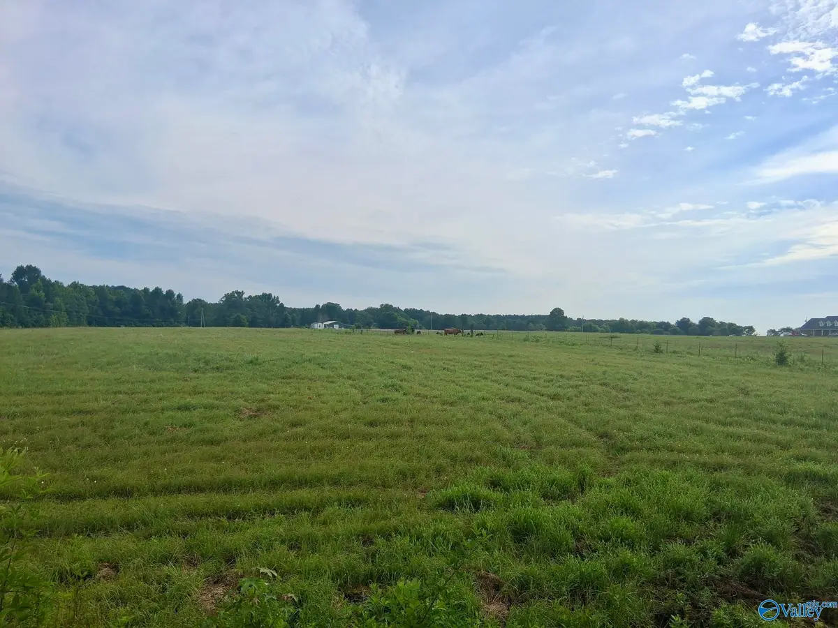 6 acres Columbus City Road, Grant, AL 35747 - #1