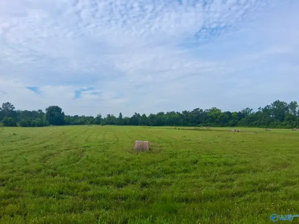 11 acres Columbus City Road, Grant, AL 35747