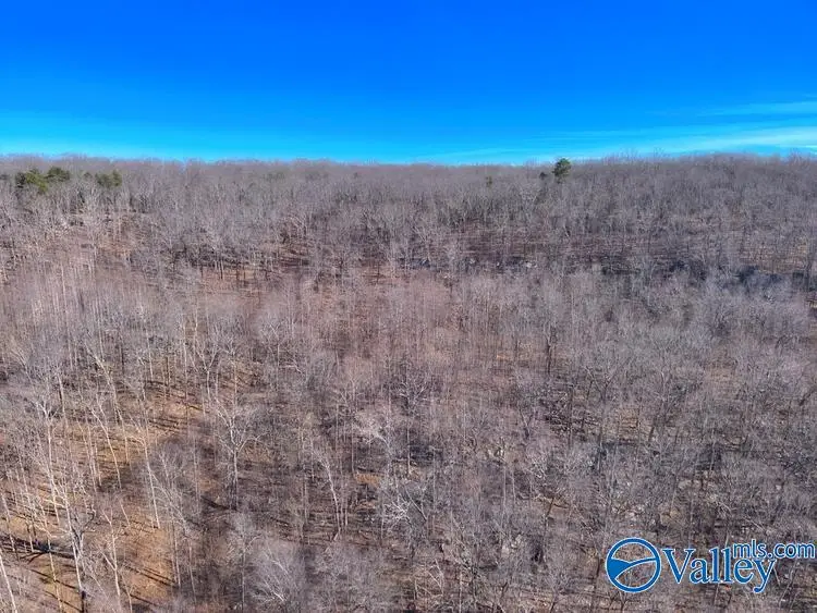 45 +/- Acres Shooting Star Trail, Gurley, AL 35748 - #3