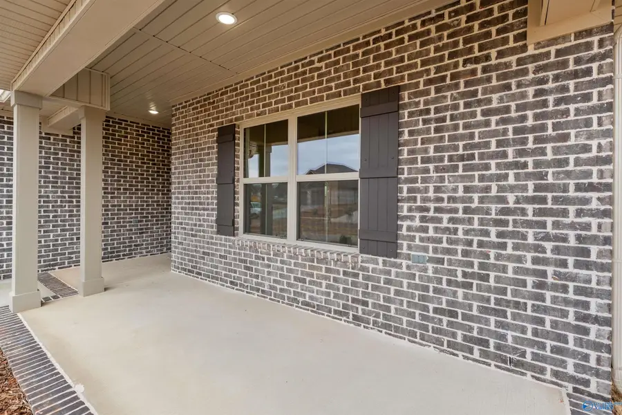 102 Alton Dale Drive, Toney, AL 35773 - #3