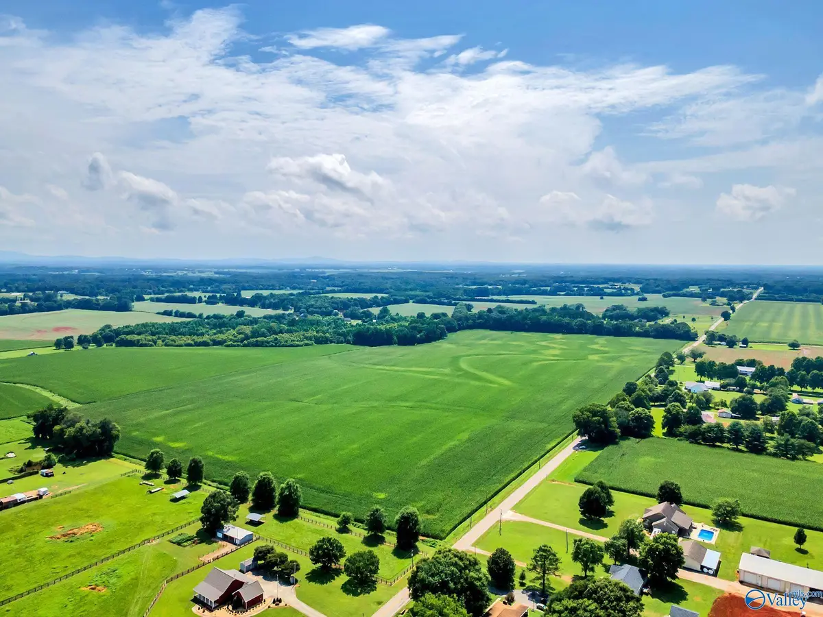 80 Buddy Williamson Road, New Market, AL 35761 - #1