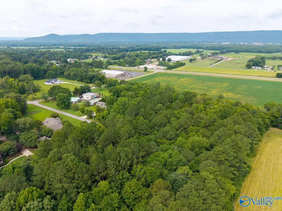 4.1 acres Brawley Drive, Owens Cross Roads, AL 35763 - #3