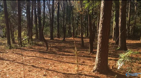 2.4 ACRES Linde Street Nw, Huntsville, AL 35810