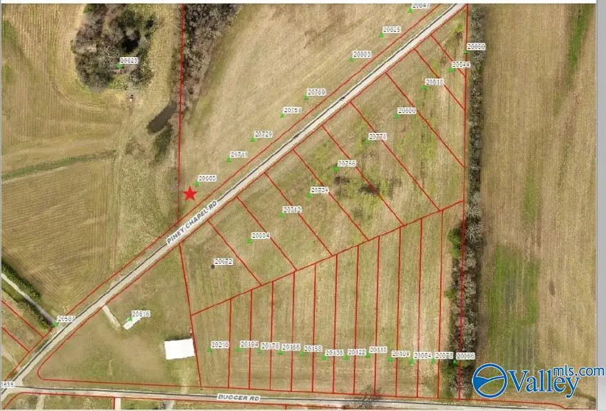 20685 Piney Chapel Road, Athens, AL 35614 - #1