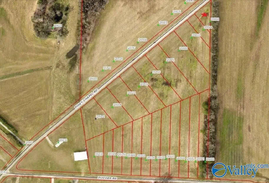 20860 Piney Chapel Road, Athens, AL 35614 - #1