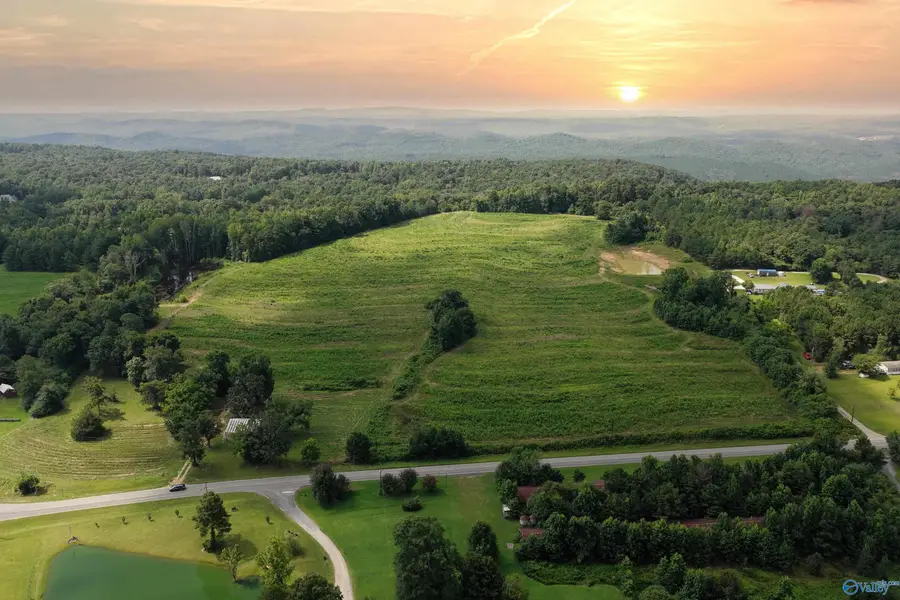 1 County Highway 27 #47, Springville, AL 35146 - #2