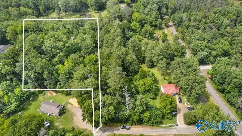 2.6 Justin Drive, Glencoe, AL 35905 - #1