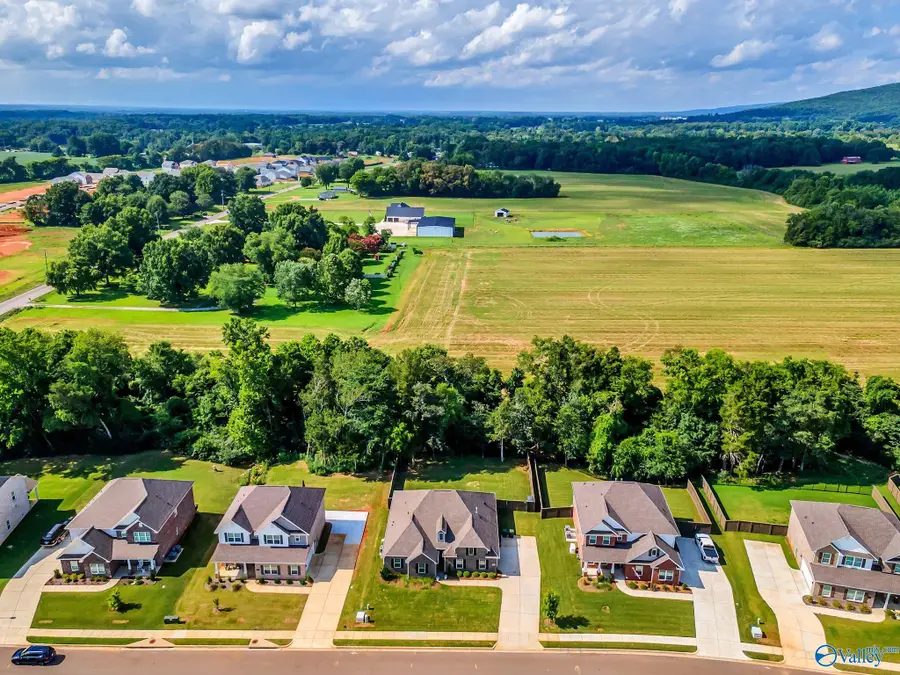 309 Creek Grove Avenue, New Market, AL 35761 - #2