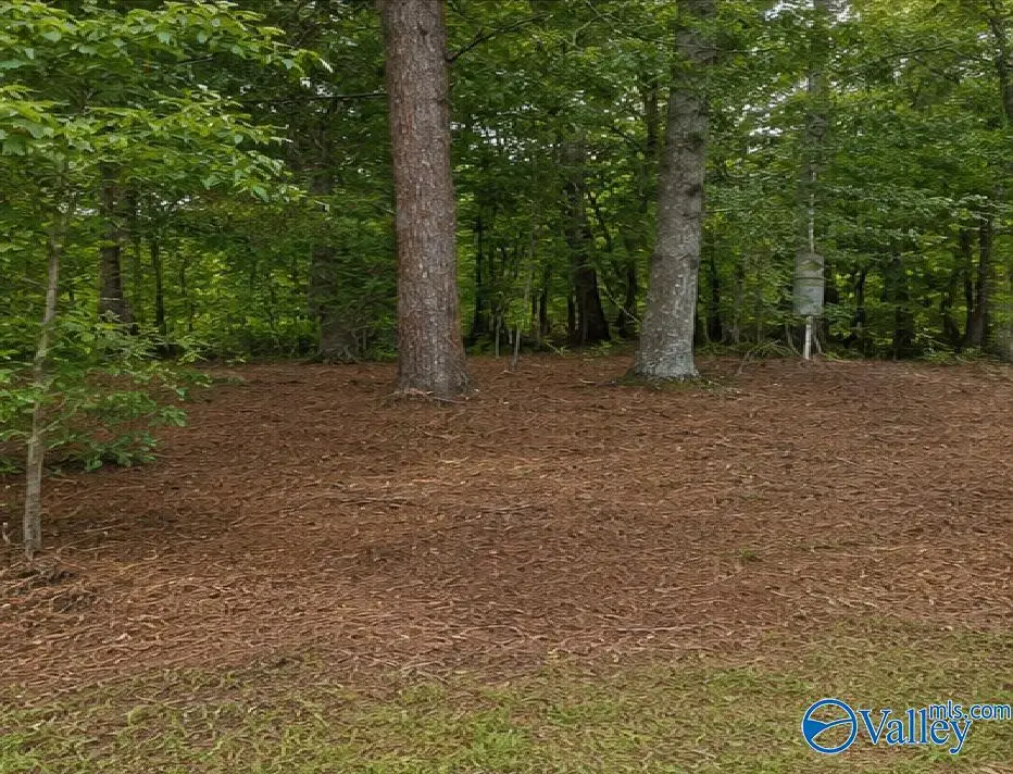 491 County Road # 65, Centre, AL 35960 - #1