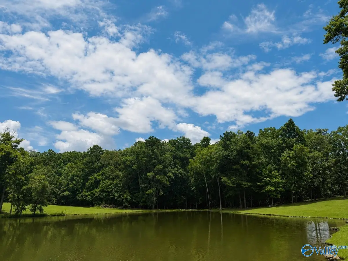 Lot 13 County Road 131, Cedar Bluff, AL 35959 - #1