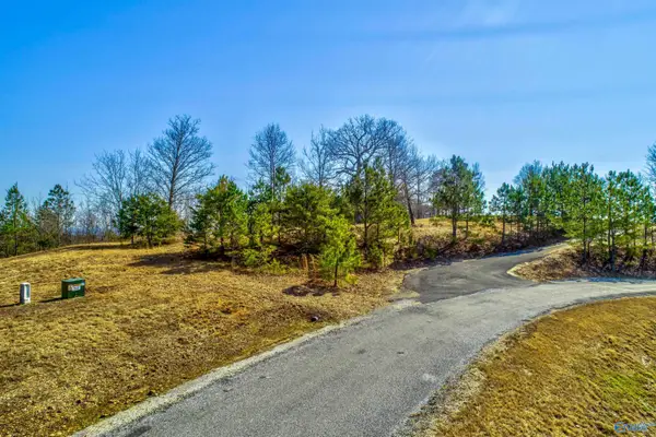 Lot 23 County Road 767, Cedar Bluff, AL 35959