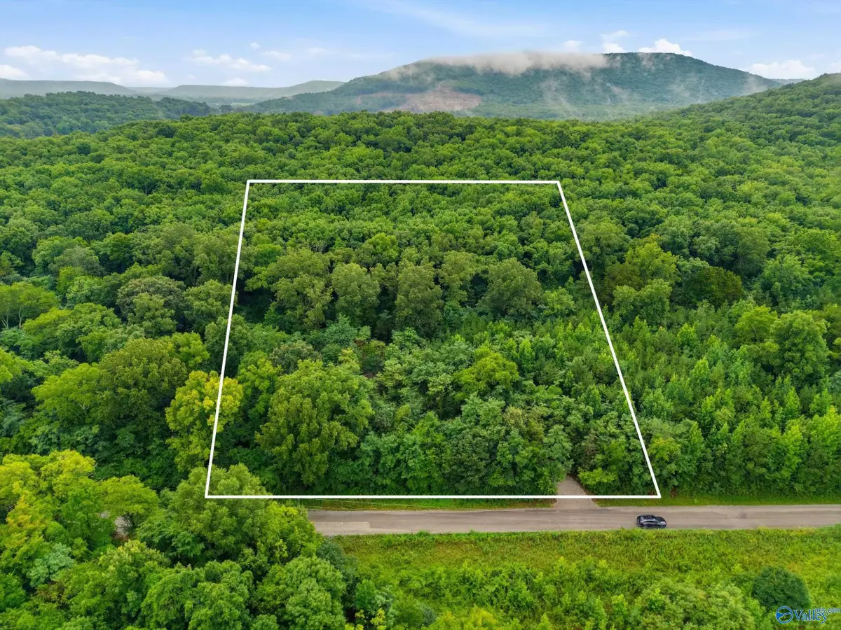 773 Mccutcheon Loop Road, Laceys Spring, AL 35754 - #1