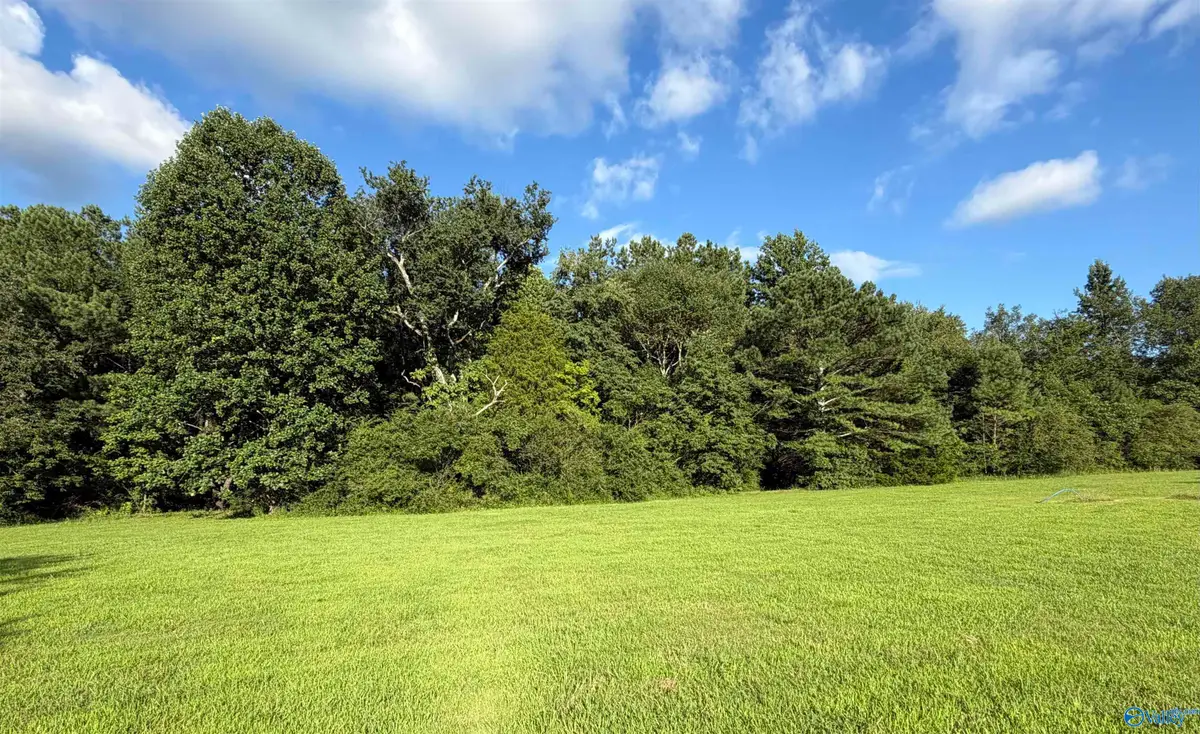 23930 Flanagan Road, Athens, AL 35614 - #1