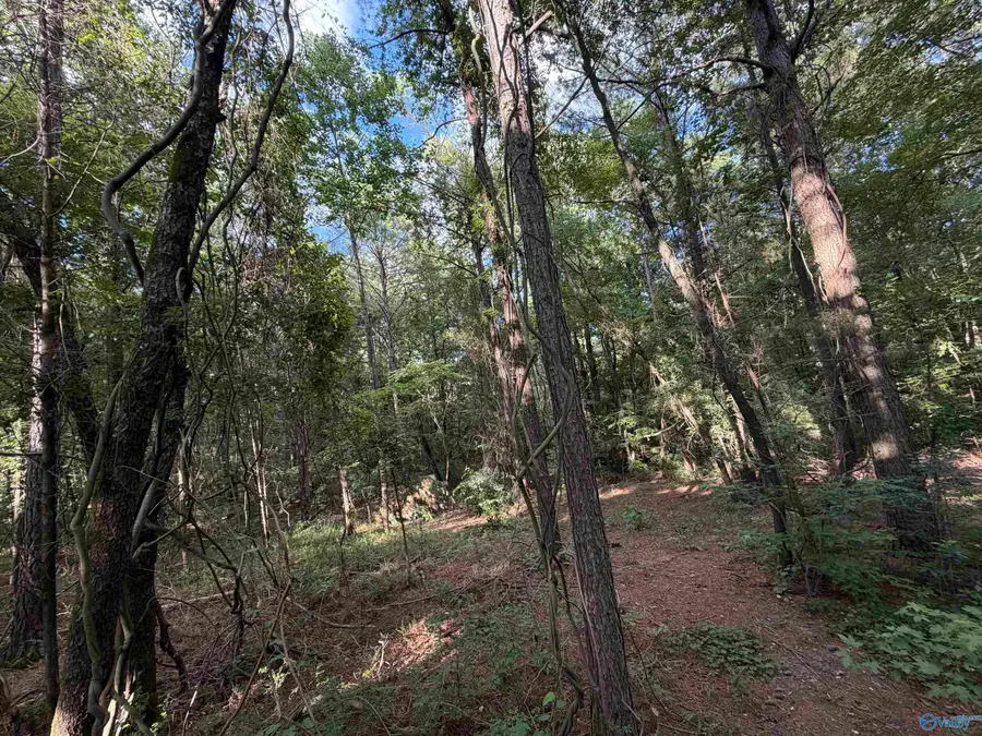 23930 Flanagan Road, Athens, AL 35614 - #3