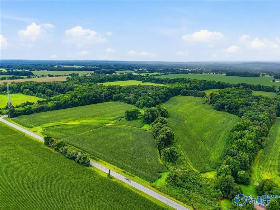 80 New Cut Road, Athens, AL 35611 - #3