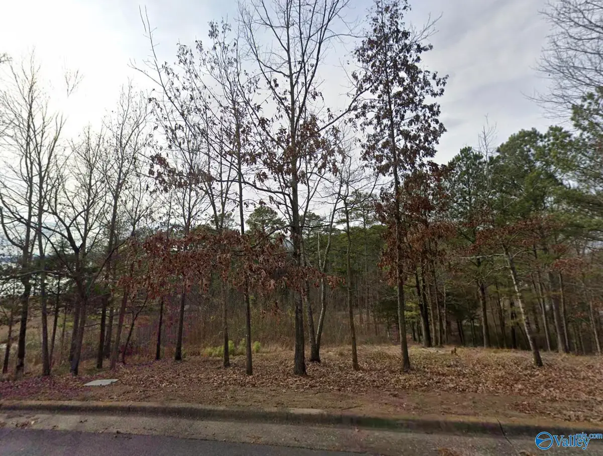 lot 35 Harbor Point Drive, Guntersville, AL 35976 - #1