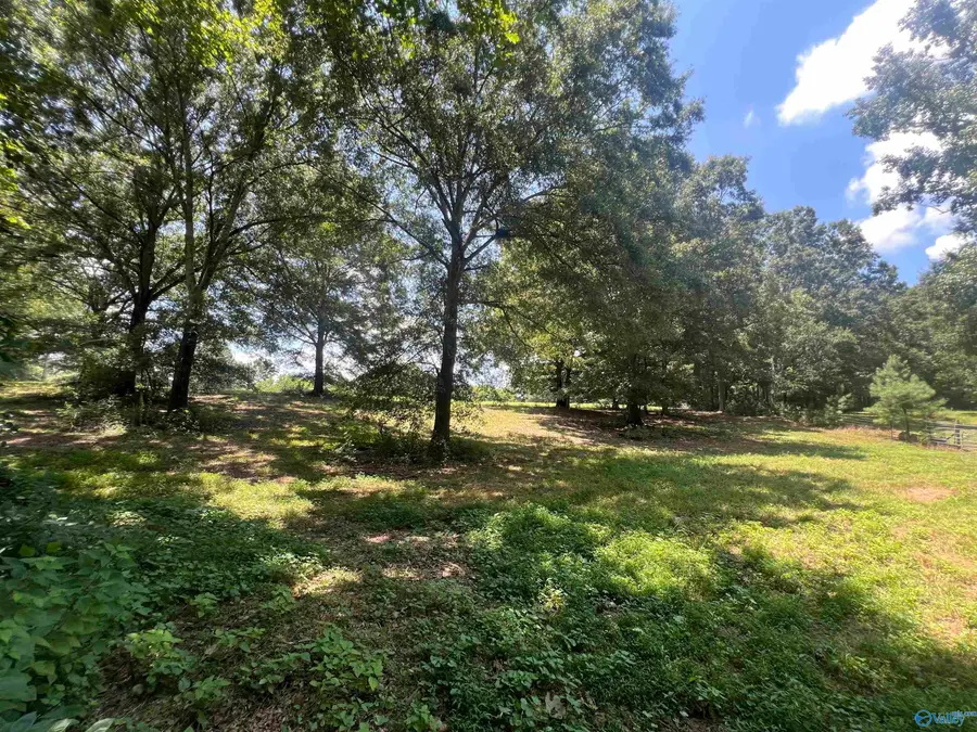 6 acres County Road 257, Albertville, AL 35951 - #3