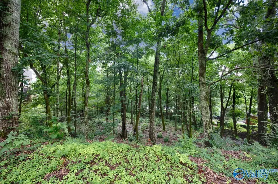137 Kensington Drive, Madison, AL 35758 - #3