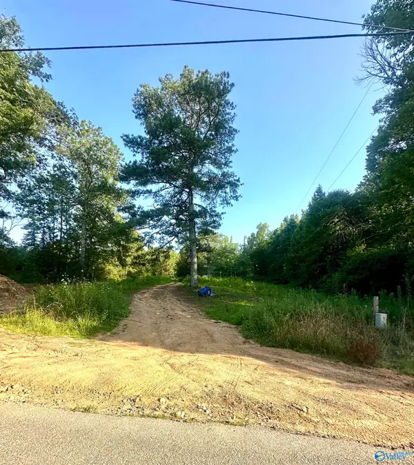 3707 Vaughn Road, Altoona, AL 35952