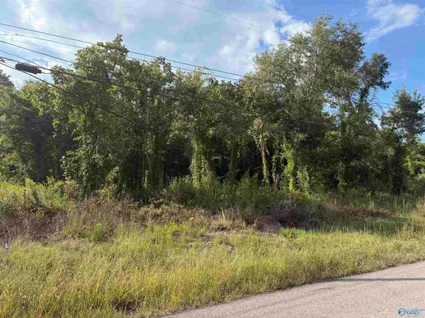 3.9 Acres Bishop Road, Gadsden, AL 35904