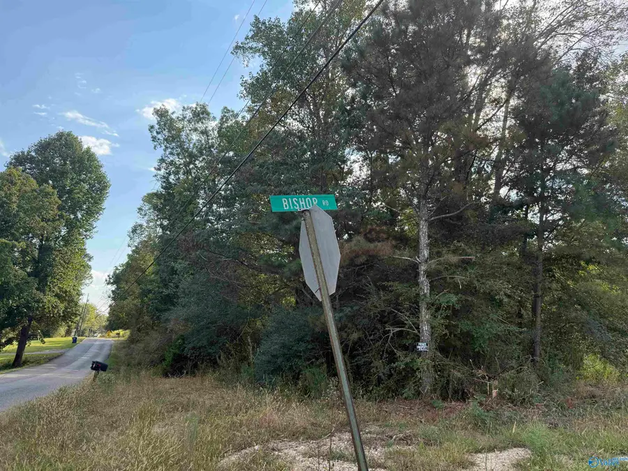 3.9 Acres Bishop Road, Gadsden, AL 35904 - #2