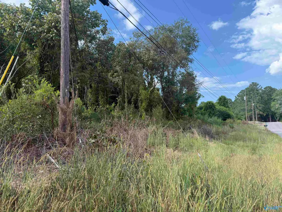 3.9 Acres Bishop Road, Gadsden, AL 35904 - #3