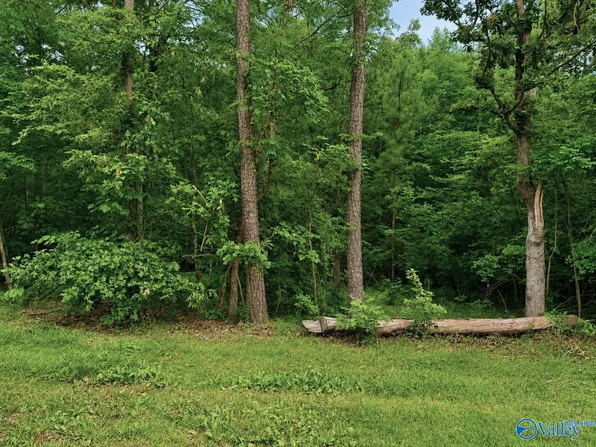 Lot 34 County Road 608, Cedar Bluff, AL 35959 - #1