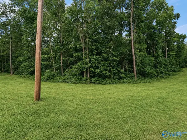 Lot 35 County Road 608, Cedar Bluff, AL 35959