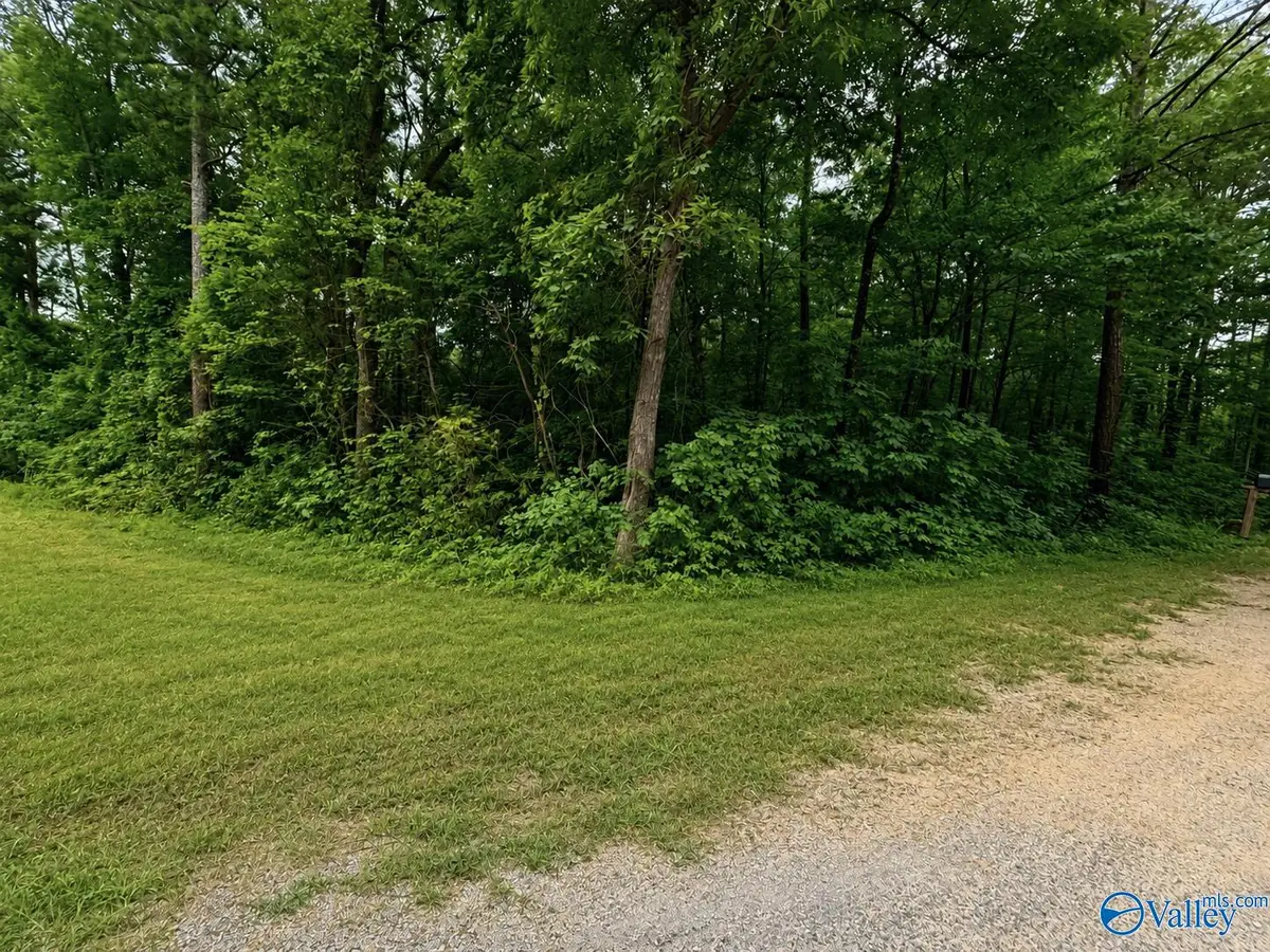 Lot 36 County Road 683, Cedar Bluff, AL 35959 - #1