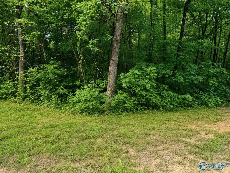 Lot 36 County Road 683, Cedar Bluff, AL 35959 - #2