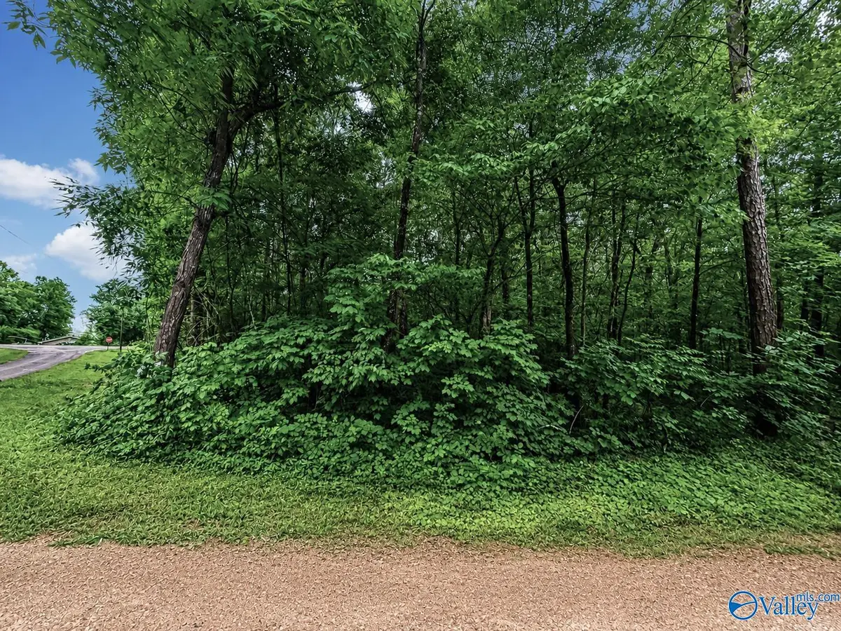 Lot 37 County Road 683, Cedar Bluff, AL 35959 - #1