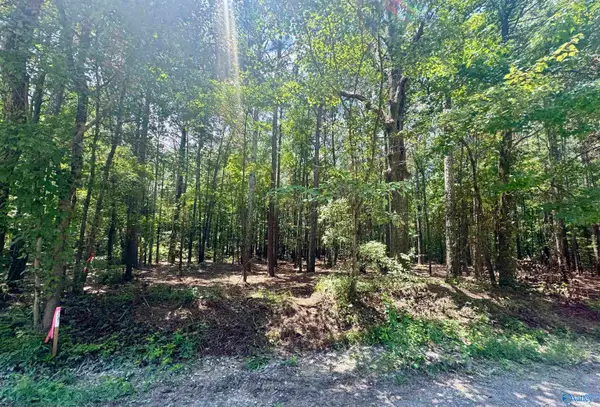 24 County Road 1011 #24,29-31, Centre, AL 35960