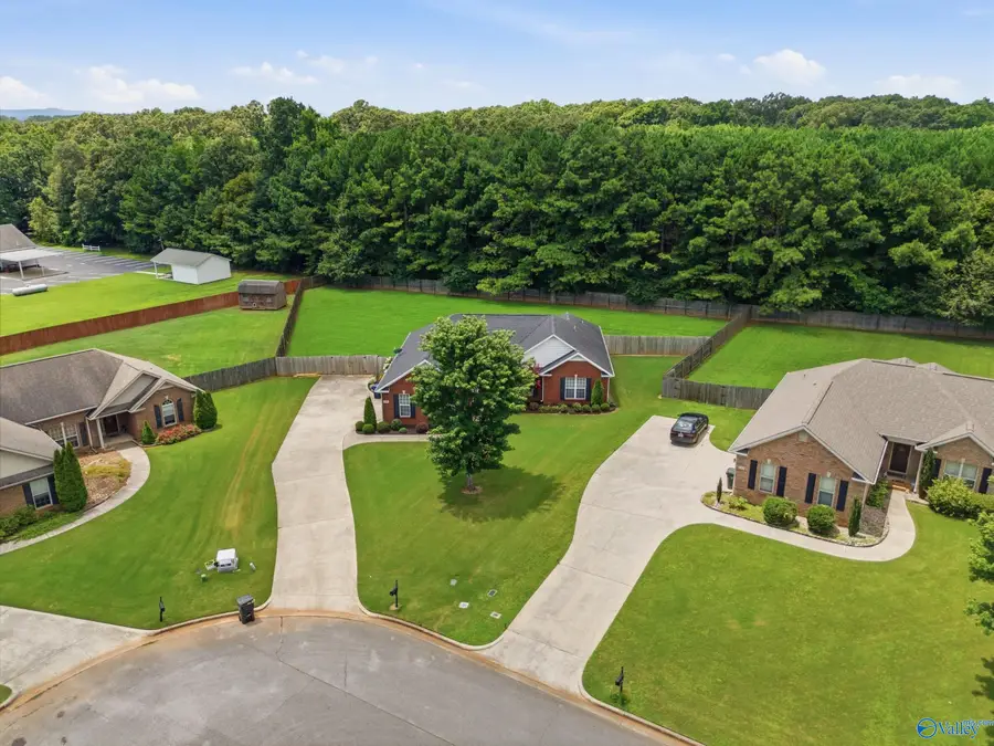 139 Castlehill Drive, Meridianville, AL 35759 - #2