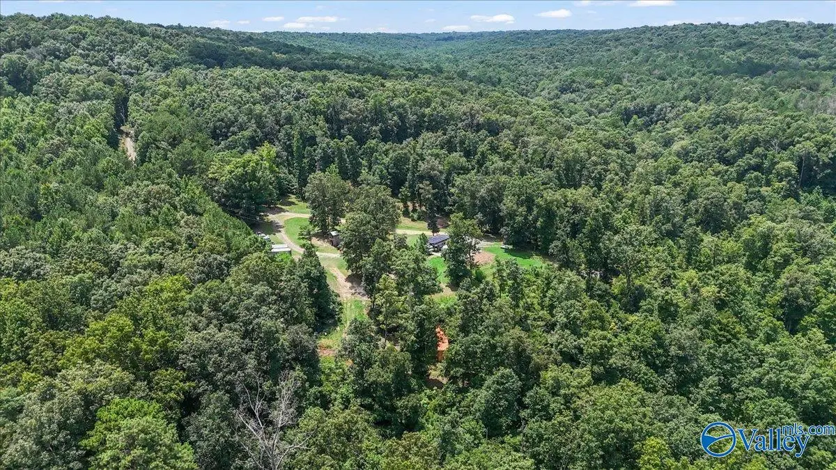 456 Keller Hollow Road, Eva, AL 35621 - #1