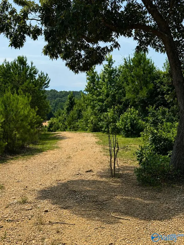 1755 County Road 155, Centre, AL 35960