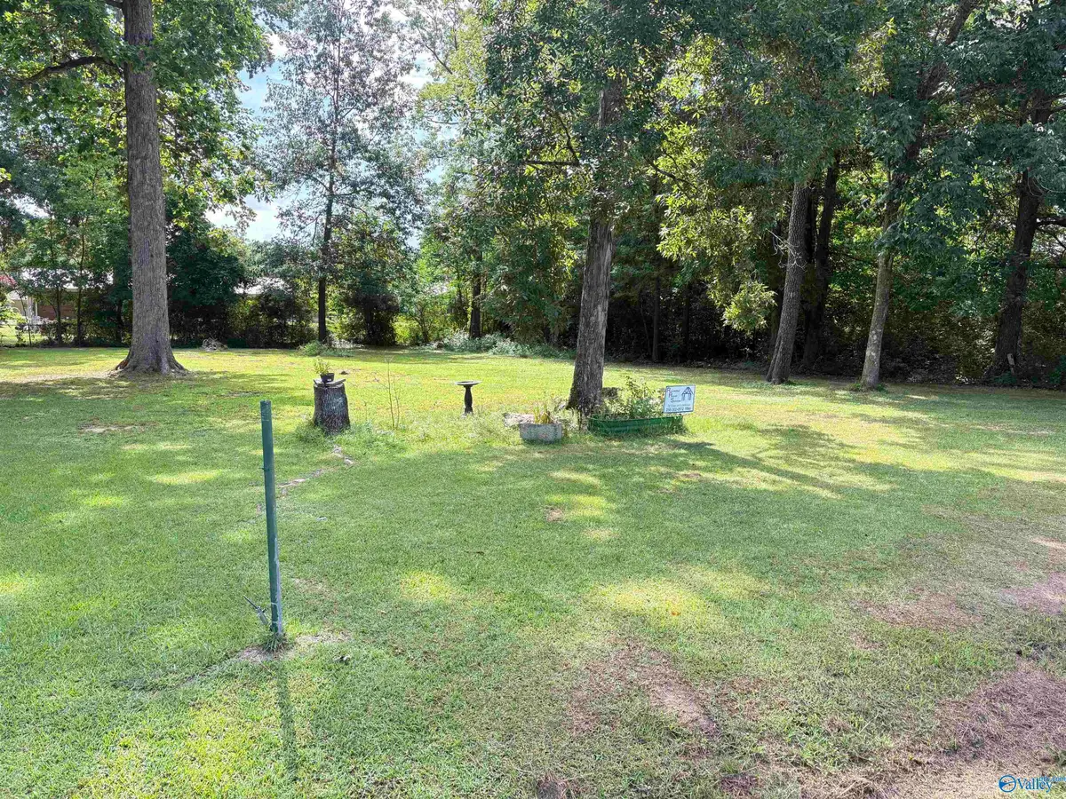 325 Woodall Lane, Scottsboro, AL 35768 - #1