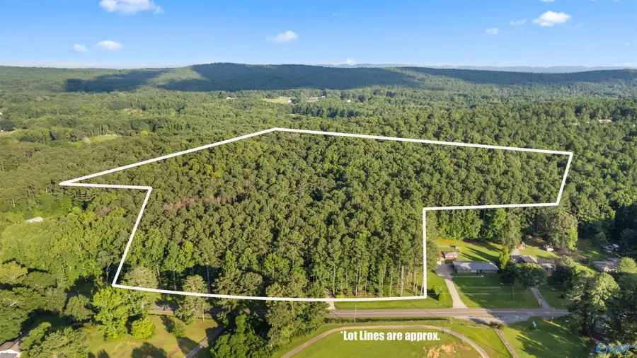 3241 Tabor Road, Gadsden, AL 35904 - #2
