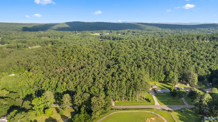 3241 Tabor Road, Gadsden, AL 35904 - #3