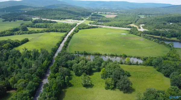 32 Acres Cathedral Caverns Highway, Woodville, AL 35776