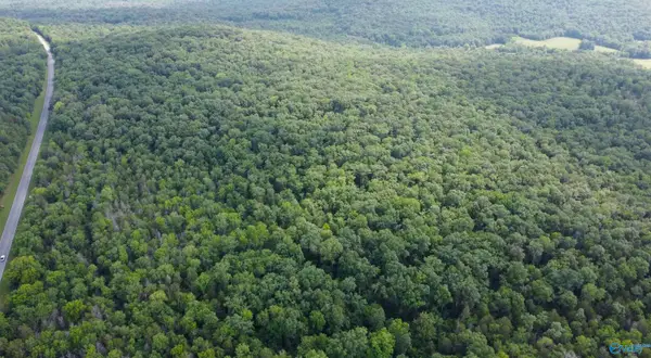 11 Acres Cathedral Caverns Highway, Woodville, AL 35776