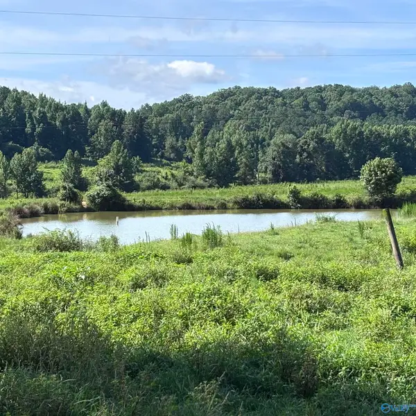 97 acres County Road 611, Valley Head, AL 35989