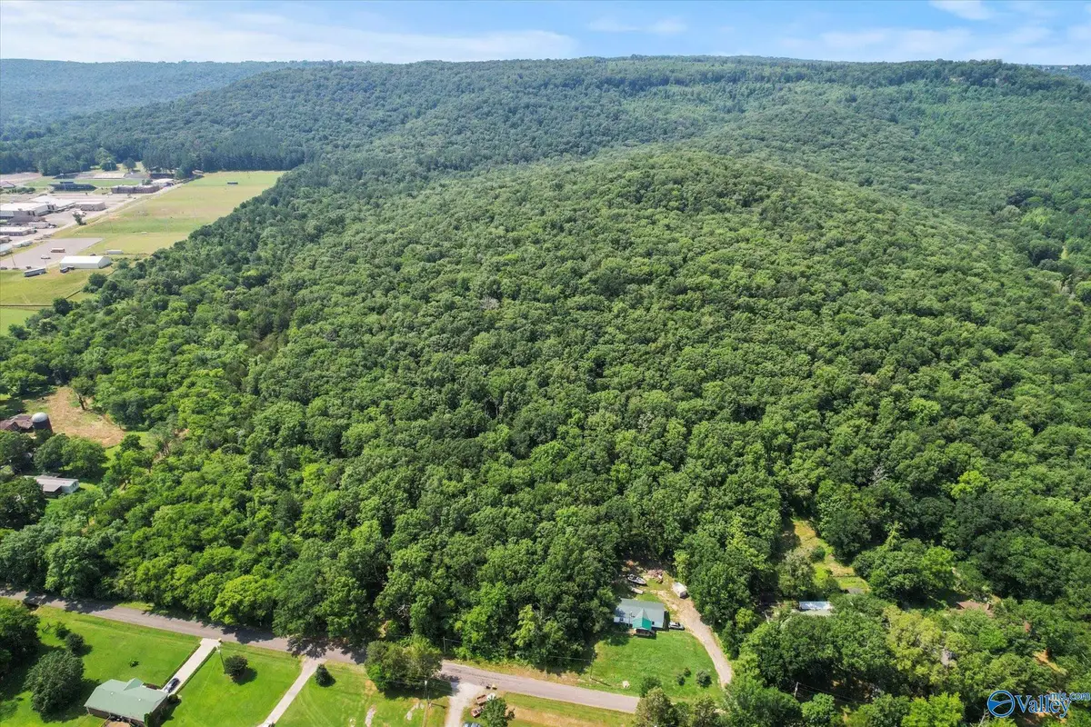 92 Acres All Jersey Road, Somerville, AL 35670 - #1