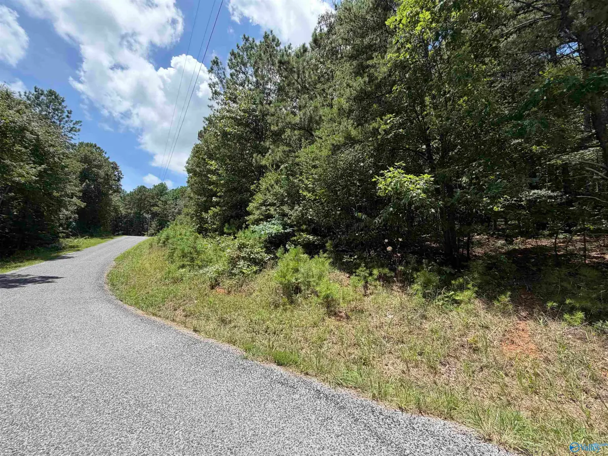 LOT 4 County Road 592, Leesburg, AL 35983 - #1