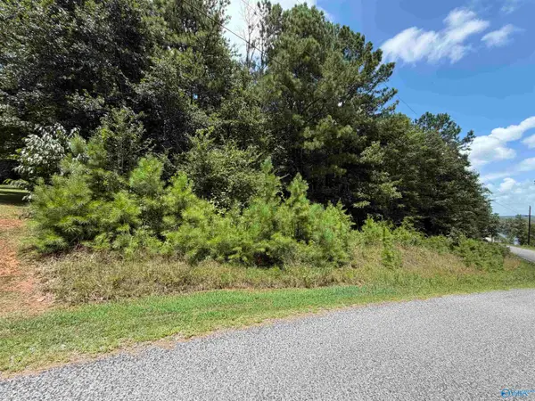 LOT 5 County Road 592, Leesburg, AL 35983
