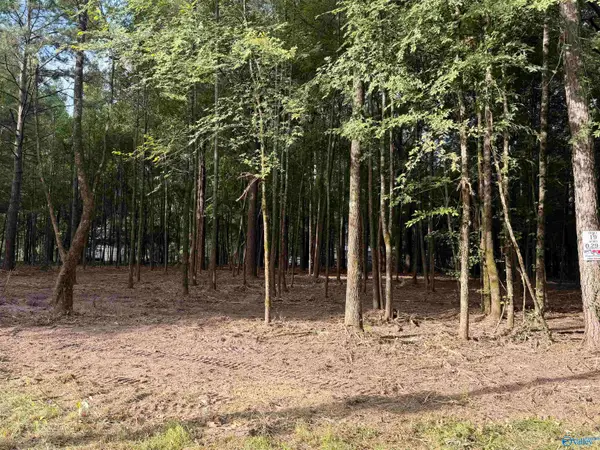 Lot 19 County Road 1011, Centre, AL 35960