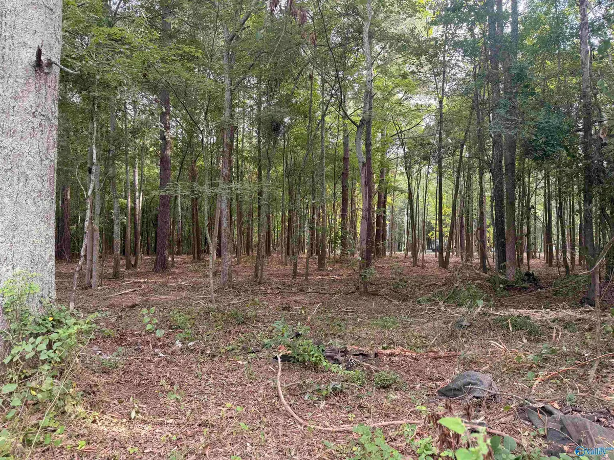 Lot 35 Shorts Inlet, Centre, AL 35960 - #1